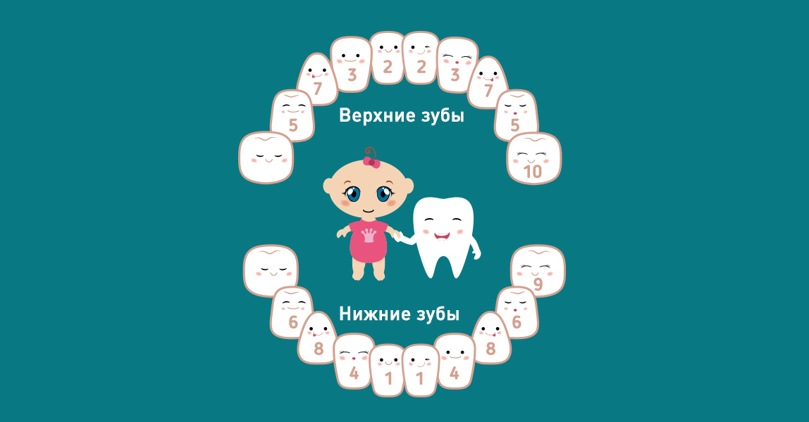 Прорезывание зубов у грудных детей